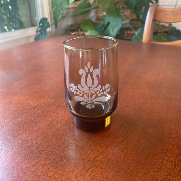 Vintage Pfaltzgraff Set of 6 Smokey Brown Floral Village Etched Tumbler Glasses